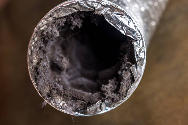 Best Professional Duct Cleaning Services  in Wilkshire Hills, OH