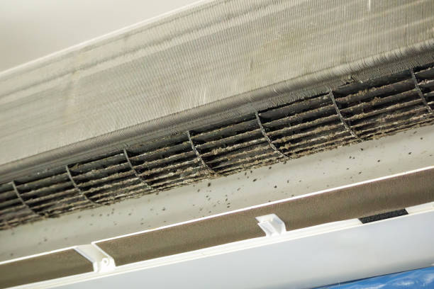 Best Air Duct Cleaning Near Me  in Wilkshire Hills, OH